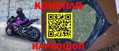 СК Волгодонск