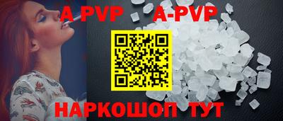 СК Волгодонск