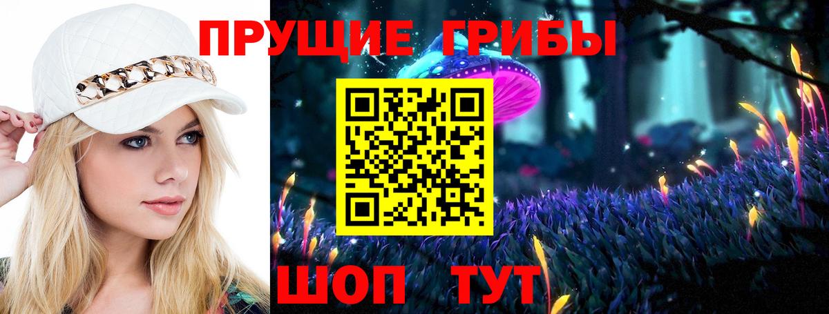 Галлюциногенные грибы Psilocybine cubensis  Вход с VPN  где продают   Острогожск 